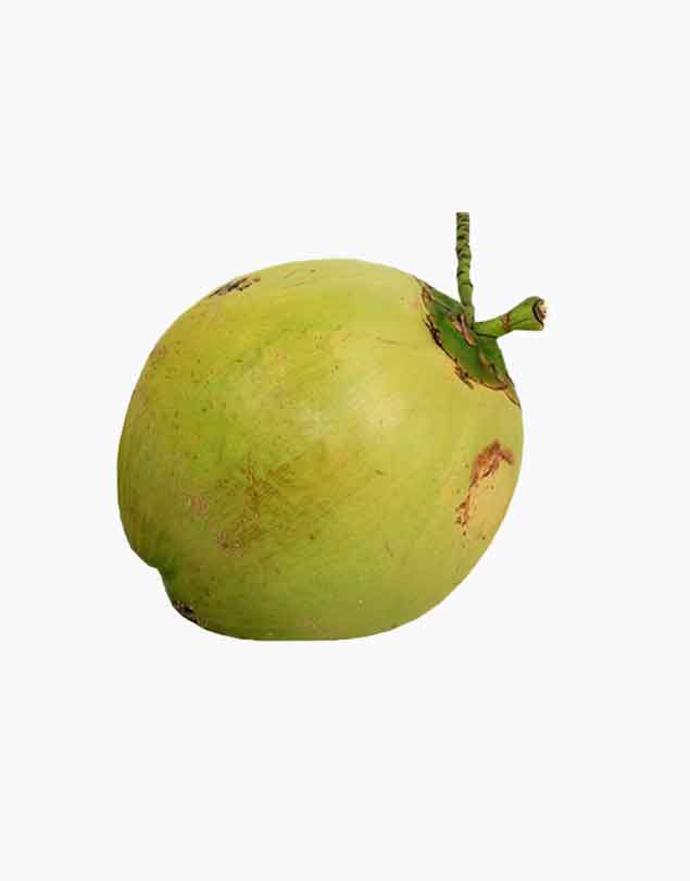 Organic coconet