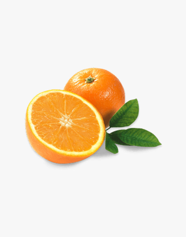 Fresh carrot natural free