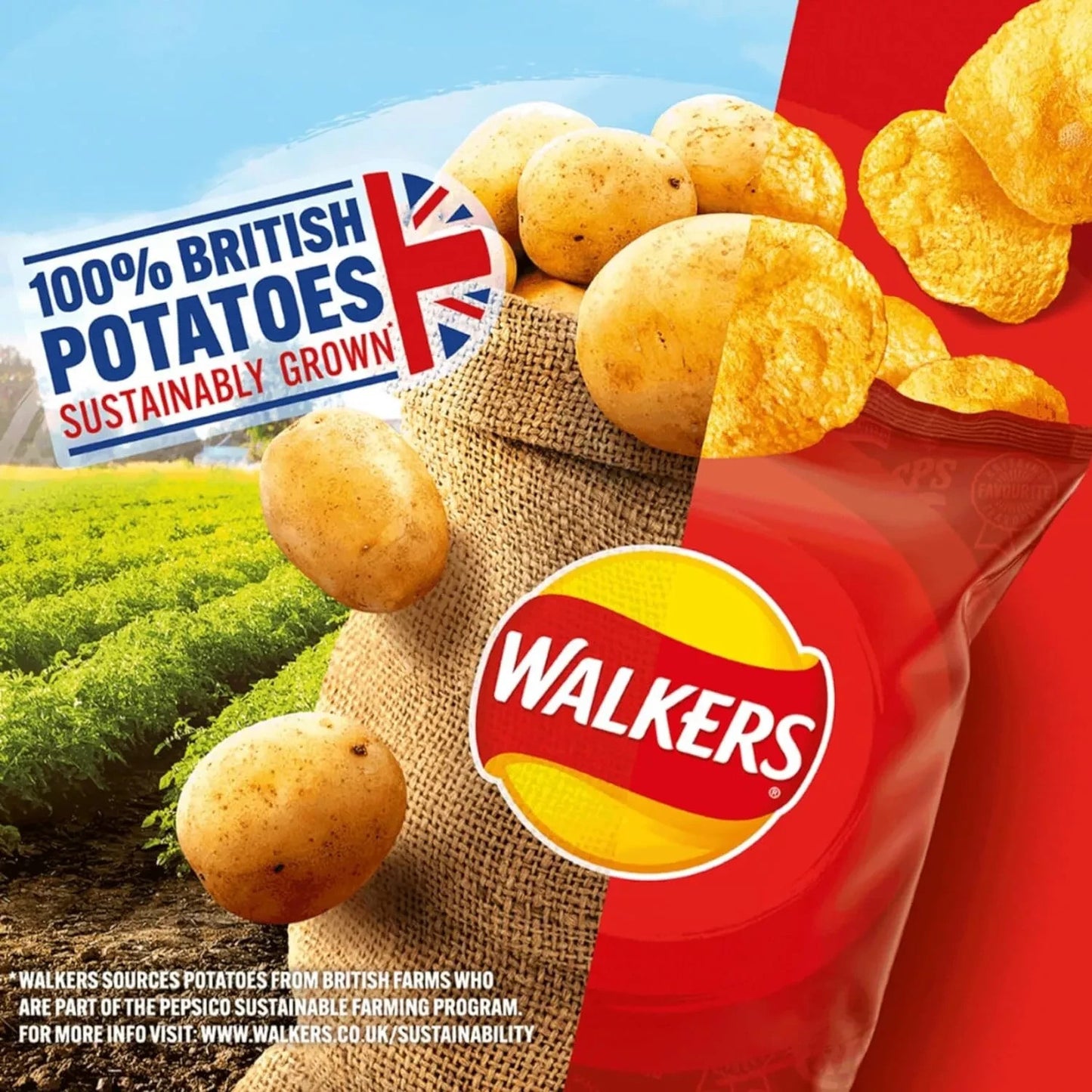 Walkers Crisps Variety Box 66 x 25g 4 Classic Flavours Snack Pack Bulk Deal UK