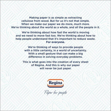 Regina Blitz Kitchen Roll 12 Pack 70 Sheets