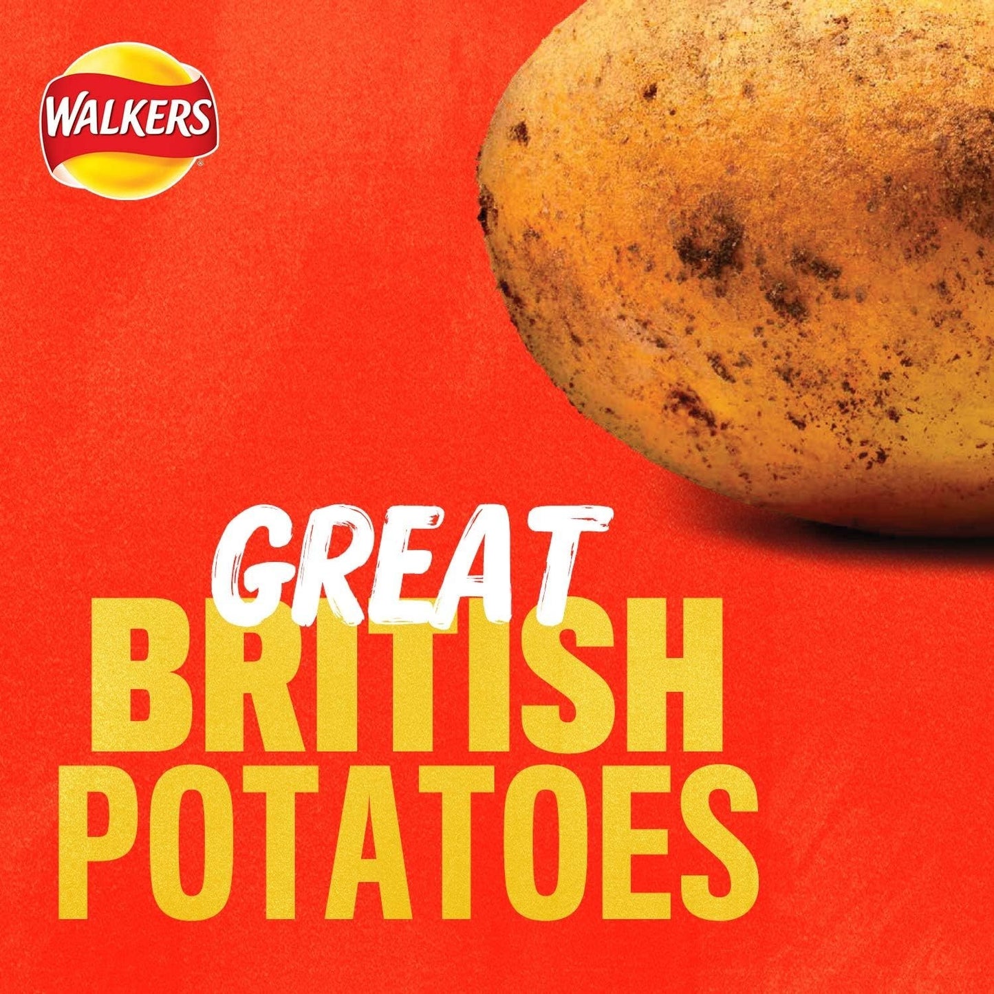 Walkers Ready Salted Crisps 32.5g x 32 Pack Full Case British Classic Snack