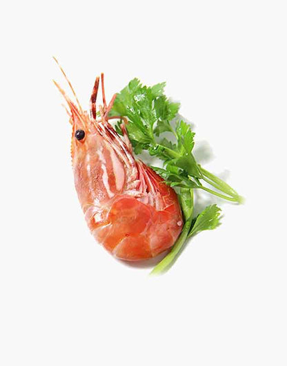 Fresh seafoods