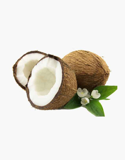 Organic coconet