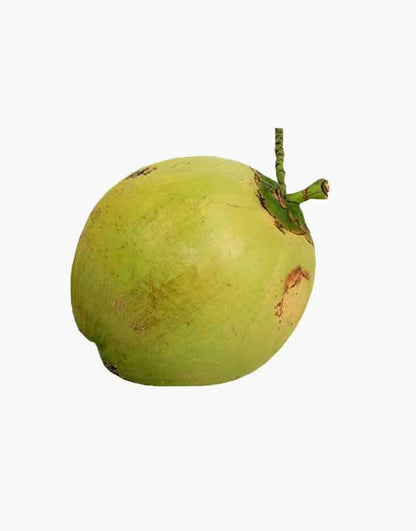 Organic coconet