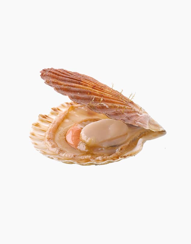 Fresh mussel (500g)