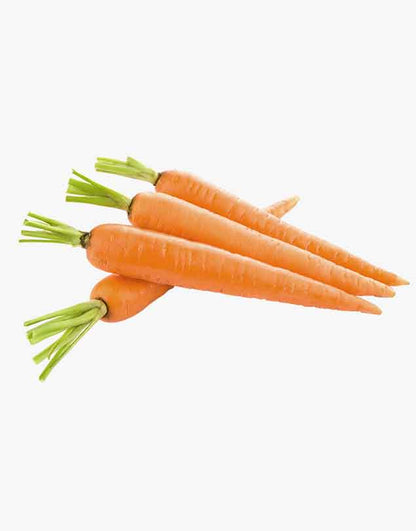 Vegetable tomato