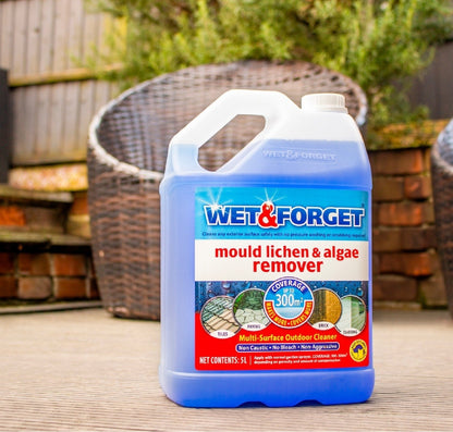 Wet & Forget 5L Outdoor Cleaner | Mould Algae Lichen Remover No Scrub Biocide UK