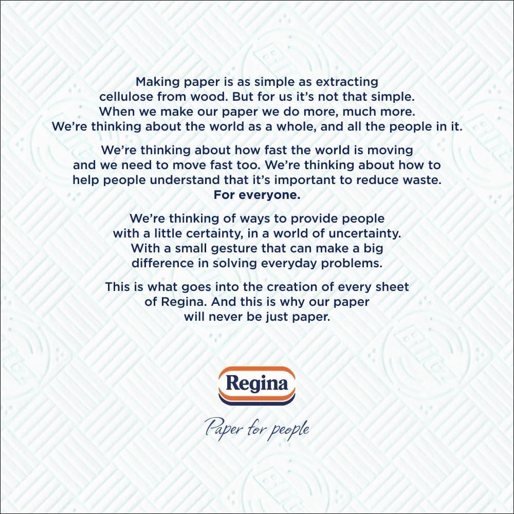 Regina Blitz Kitchen Roll 12 Pack 70 Sheets